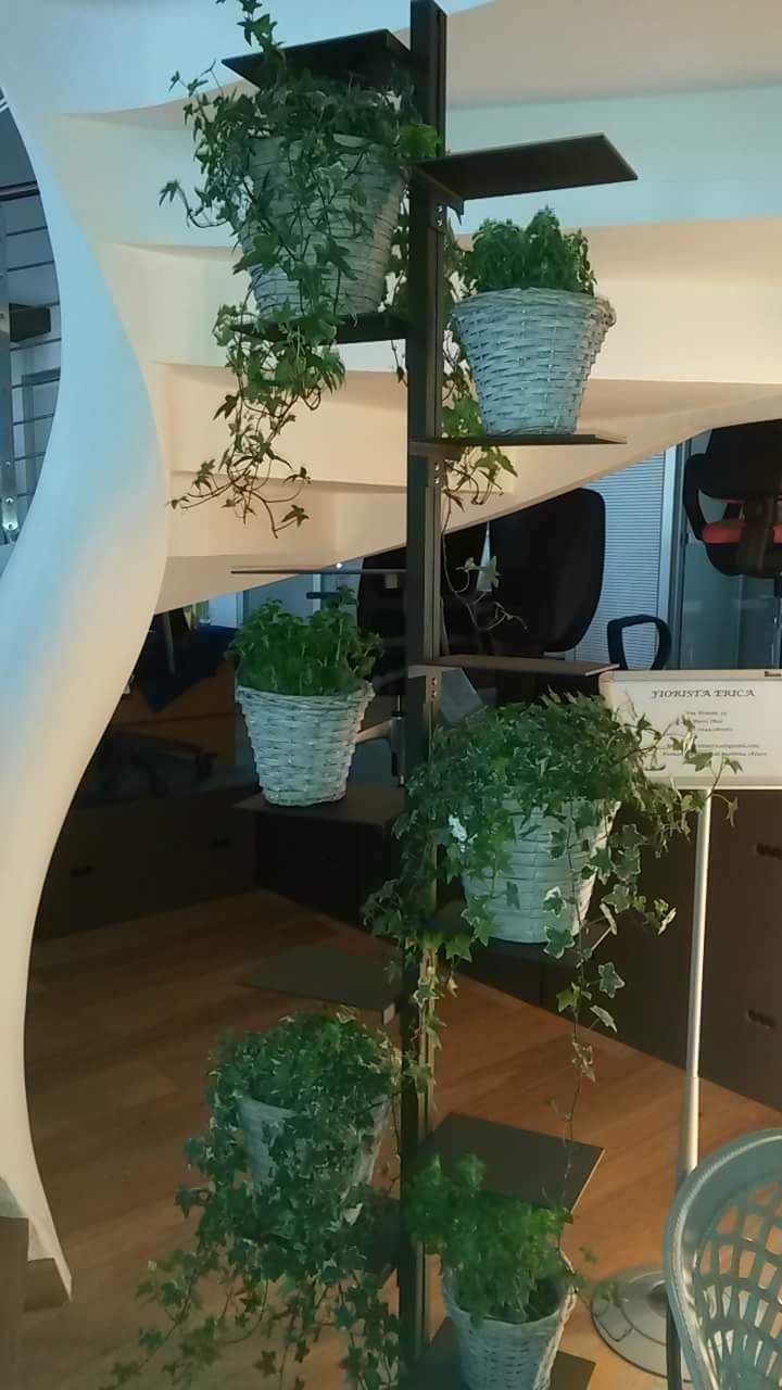 Libreria autoportante a colonna Mr Green in metallo